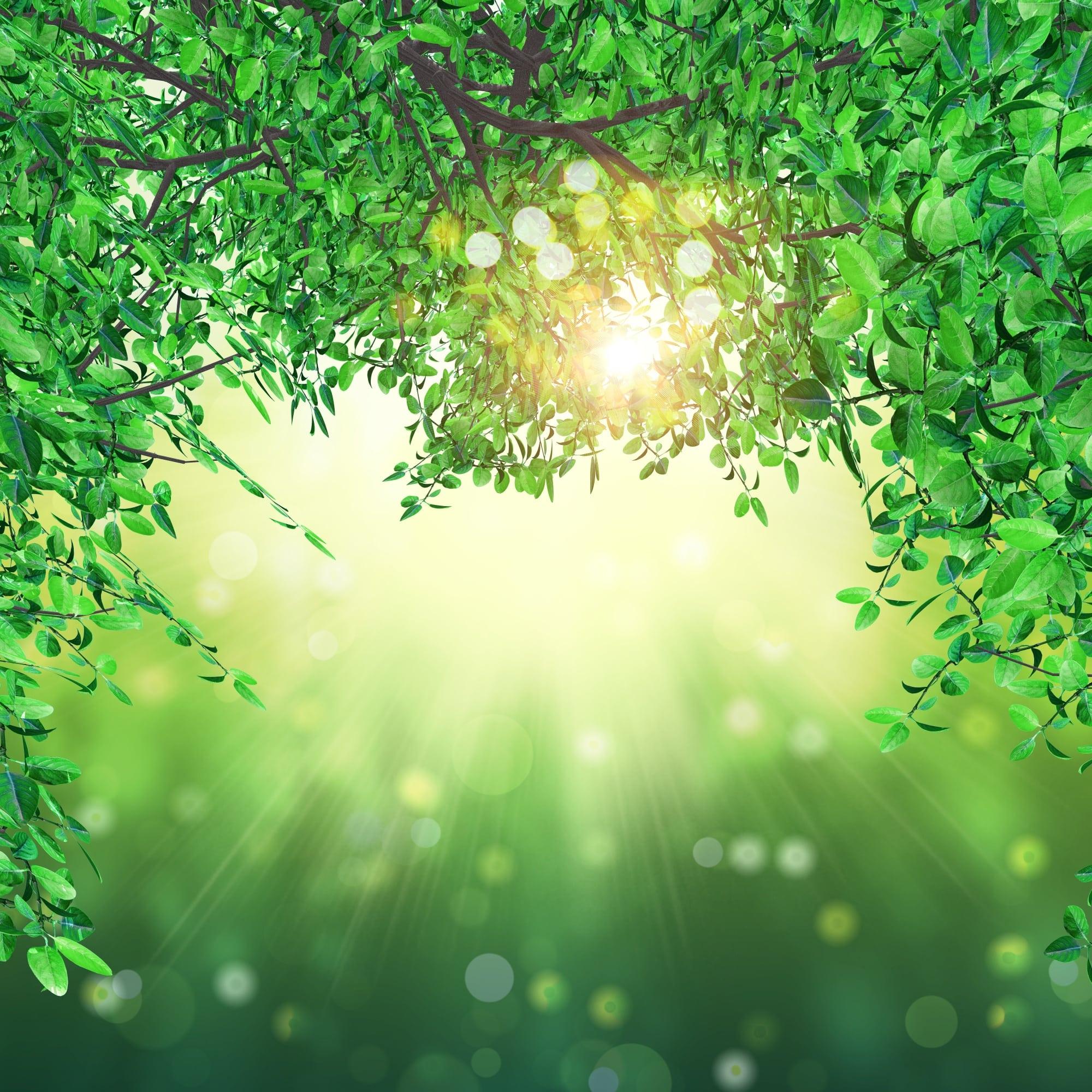 Đăng nhập vào tài khoản của bạn