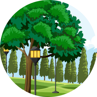 CÂY BÓNG MÁT CÔNG VIÊN