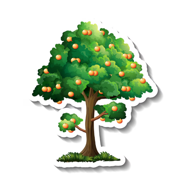 CÂY BÓNG MÁT VƯỜN RỪNG, CÂY ĂN QUẢ