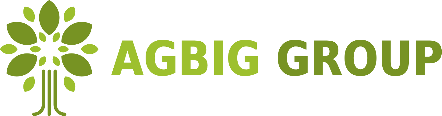 AGBIG GROUP