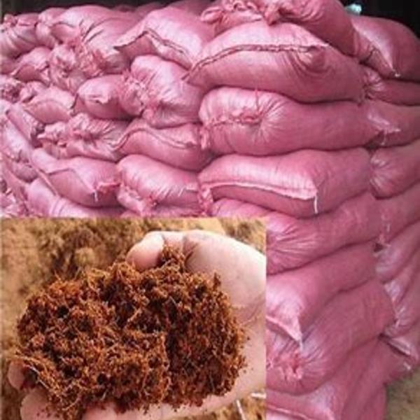 Giá thể trồng cây