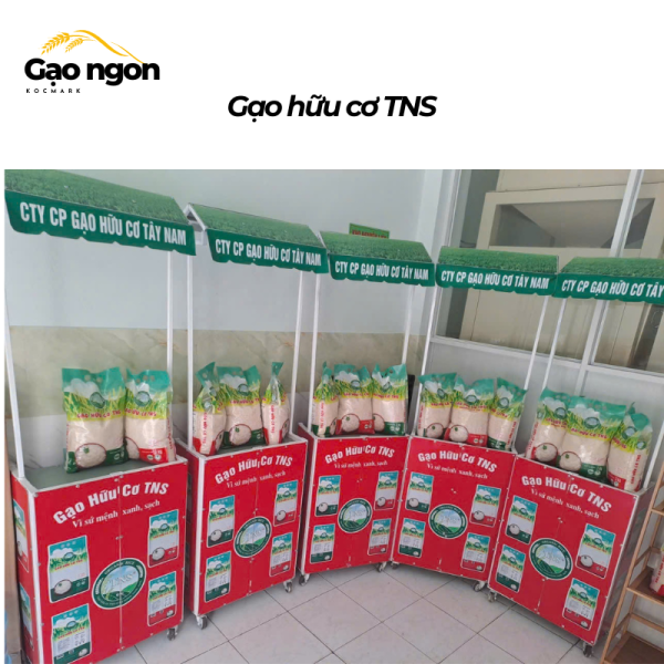 COMBO 10 TÚI GẠO HỮU CƠ TNS2